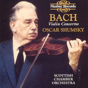 Bach - Violin Concertos