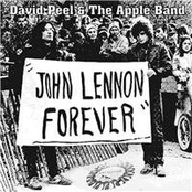 david peel & the apple band