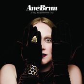 The Light From One by Ane Brun