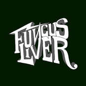 The Real Core of the Inevitable Shit