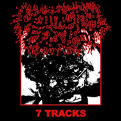 7 TRACKS