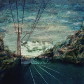 Chuy's Got Bought Out By The Olive Garden