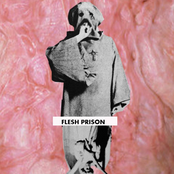 flesh prison