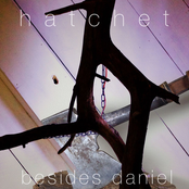 Besides Daniel: Hatchet in the Wood