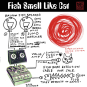 Fish smell like cat