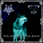 Tale From the Ancient Forest