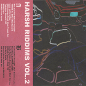 Harsh Riddims, Vol. 2