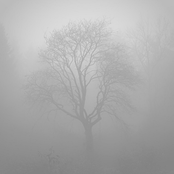 Fragile