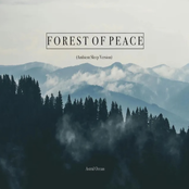 Forest of Peace (Ambient Sleep Version)