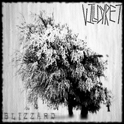 Blizzard