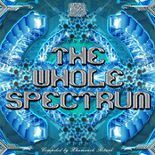 The Whole Spectrum