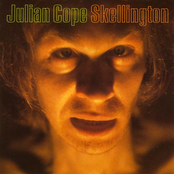 Madonna Baglady Blues by Julian Cope