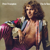 Tried To Love by Peter Frampton