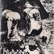 El Animal Inteligente...?