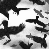 let's get out of here