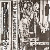 Mummified in Toilet Paper