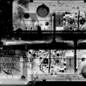 Ravenscourt Park, 2004