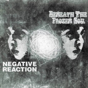 Beneath The Frozen Soil / Negative Reaction
