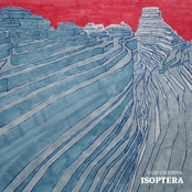Isoptera