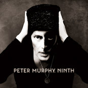 Peter Murphy - I Spit Roses