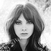 toni basil