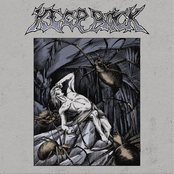 Пробуждение