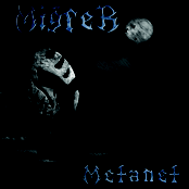 Metanet(2008)