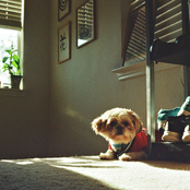 the kids are alright