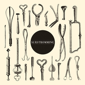 Surströmming