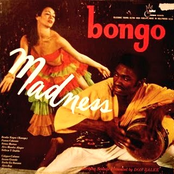 Bongo Madness