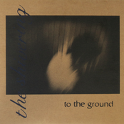 To The Ground