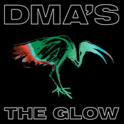 DMAs: The Glow