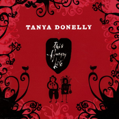 Long Long Long by Tanya Donelly