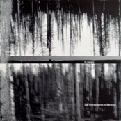 The Phenomenom of Renewal