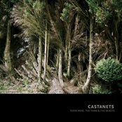 Down The Line, Love by Castanets