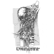 Cognizant // Cryptic Void