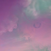 SHIROI YAMINO NAKA (Cover)