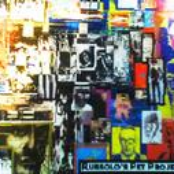 Live Wire Live Moment