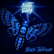 Moth Song