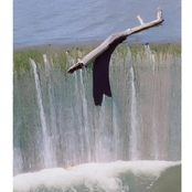 I'm Trying, There's Fire