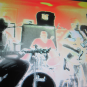 MR MUSE