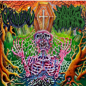 JÄVELIN/VOMIT HAMMER