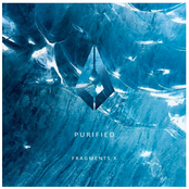 Purified Fragments X