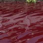 Gubbjävel Vatten Demo