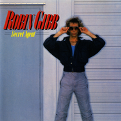 Diamonds by Robin Gibb