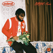 Odeal: OVMBR: Roses