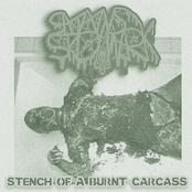Stench of a burnt carcass