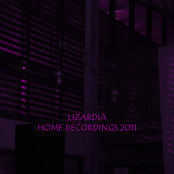 Home Recordings 2011