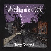 Stumbling In The Dark by Terry Garland