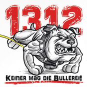 1.3.1.2 Keiner Mag Die Bullerei!